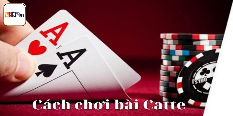 Cách Chơi Catte 6 Cây Đơn Giản, Dễ Hiểu Nhất Cho Tay Cược