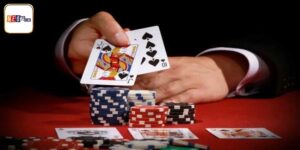 Cách Đoán Nước Bài Catte Chuẩn Đét Từ Chuyên Gia Neo79