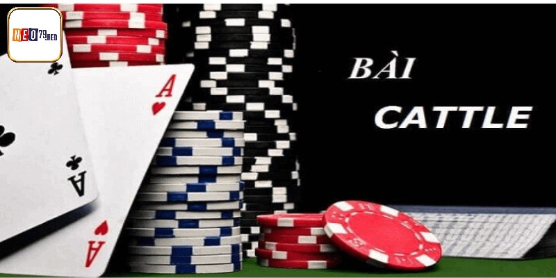 Khái niệm của catte 6 cây chuẩn nhất 
