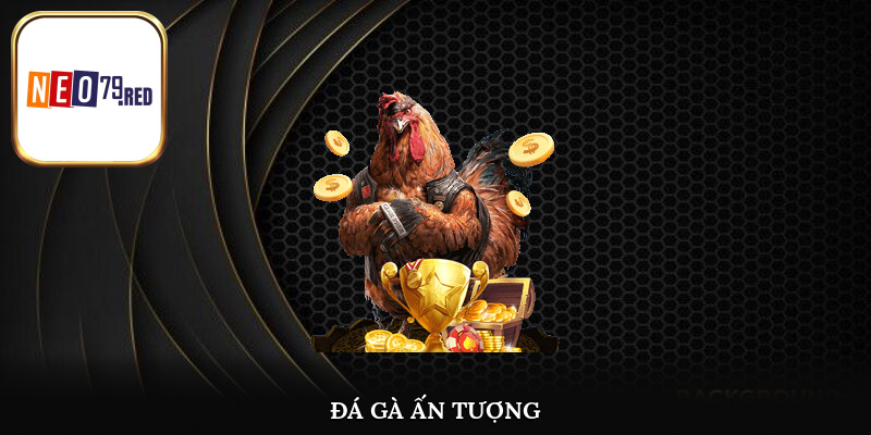 Tham gia đá gà cùng Neo79 tận hưởng không gian sôi động